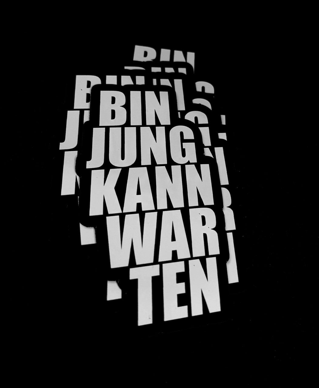 Bin jung kann warten Magnet (5er Pack)